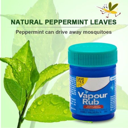 NATURAL PEPPERMINT LEAVES